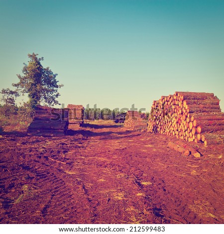 Logging in the Forest, France, Instagram Effect