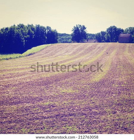 Plantation of Corn in the French Limousen after Harvest, Instagram Effect