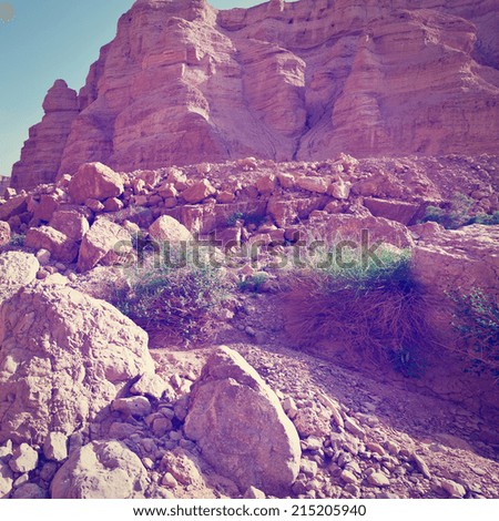 Dry Riverbed in the Negev Desert, Instagram Effect