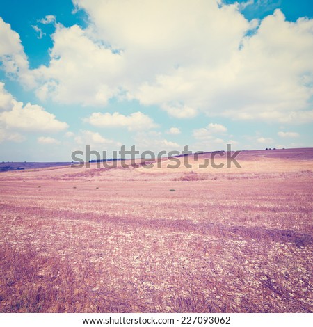 Poor Stony Soil after the Harvest in Israel, Instagram Effect