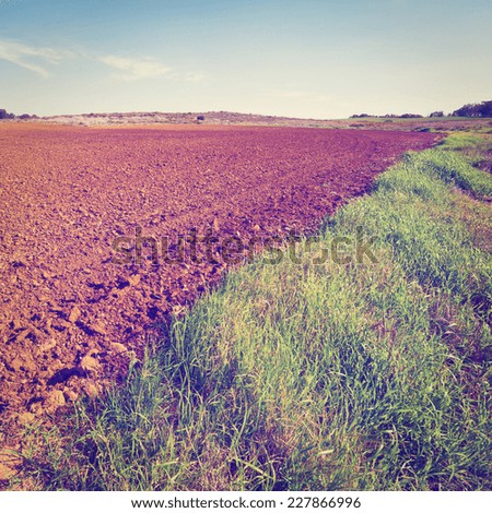 Poor Sandy Soil after the Harvest in Israel, Instagram Effect