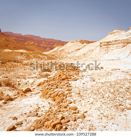 Dry Riverbed in the Judean Desert, Instagram Effect