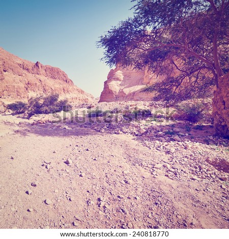 Dry Riverbed in the Judean Desert, Instagram Effect