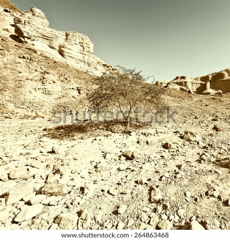 Judean Desert on the West Bank of the Jordan River, Retro Image Filtered Style