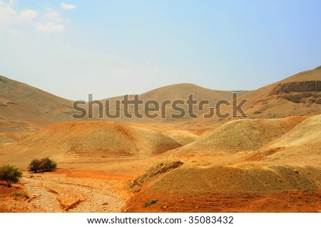 Dry Riverbed In Desert Near Jordan Valley, Israel