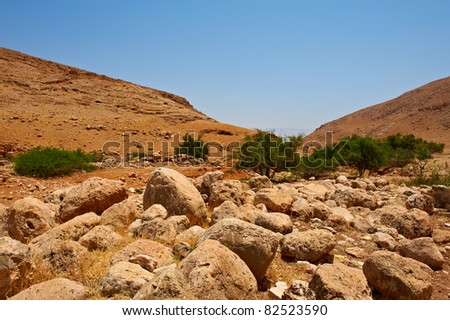 israel terrain