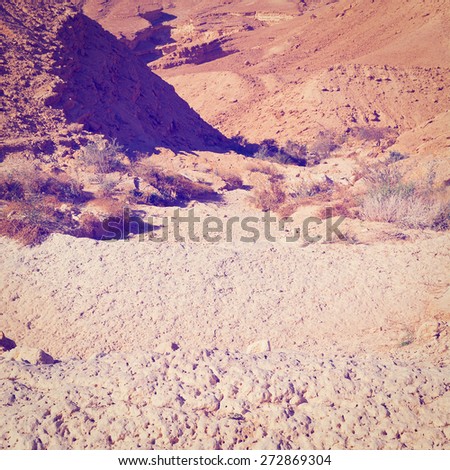 Dry Riverbed in the Negev Desert, Instagram effect