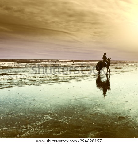 Dancing Horses on the North Sea Coast in Netherlands at Sunset, Vintage Style Toned Picture