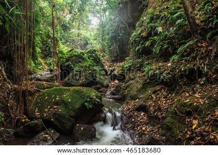 Jungle nature. Amazing nature jungle. River in stones of tropical jungle nature at the Sacred Monkey Forest Sanctuary, Ubud, Bali. Nature tropical jungle waterfall. Nature jungle scene. Nature jungle