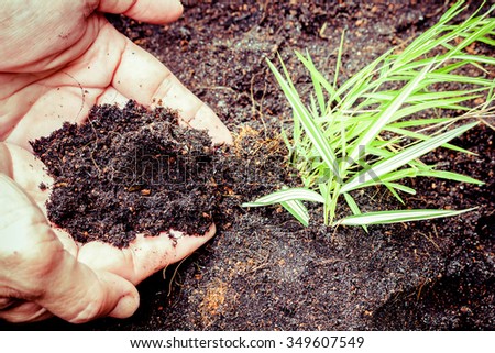 Hand giving organic compost to  young tree