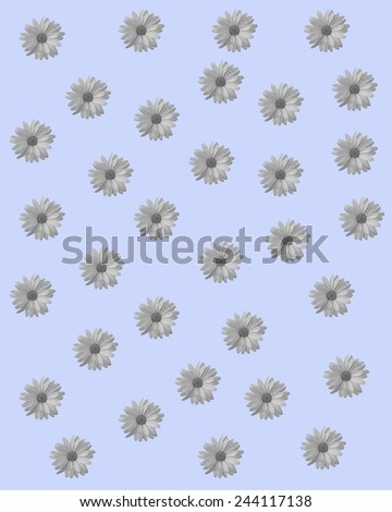 Abstract camomile, chamomile flower on blue background with floral flower pattern. Floral background for floral greeting cards. Floral template, pattern seamless with camomile, chamomile  flowers.