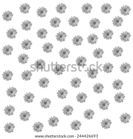 Abstract camomile, chamomile white background with floral flower pattern. Floral background for floral greeting cards. Floral template, pattern seamless with camomile, chamomile  flowers.