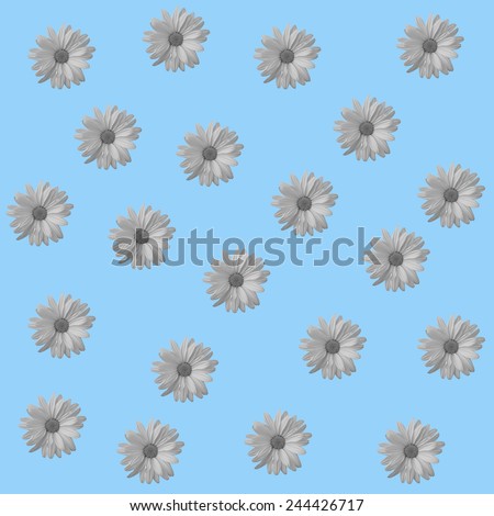 Abstract camomile, chamomile blue background with floral flower pattern. Floral background for floral greeting cards. Floral template, pattern seamless with camomile, chamomile  flowers.