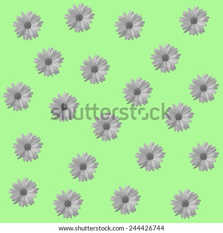 Abstract camomile, chamomile light green background with floral flower pattern. Floral background for floral greeting cards. Floral template, pattern seamless with camomile, chamomile  flowers.