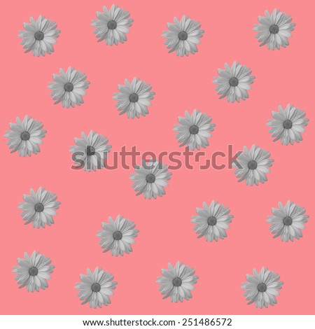 Abstract camomile, chamomile background with floral flower pattern. Floral background for floral greeting cards. Floral template, pattern seamless with camomile, chamomile  flowers.