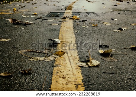 Road with yellow stripe leading into distance covered with autumn leaves