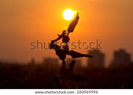 Silhouette of a flower in a dancer pose in sunset, with bright orange sky.