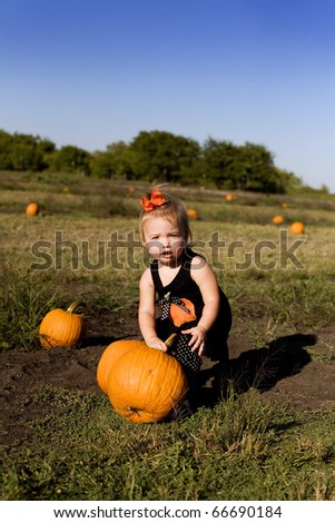 Small toddler girl picking pumpkins in a pumpkin patch