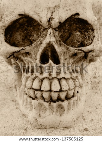 an old human skull textured