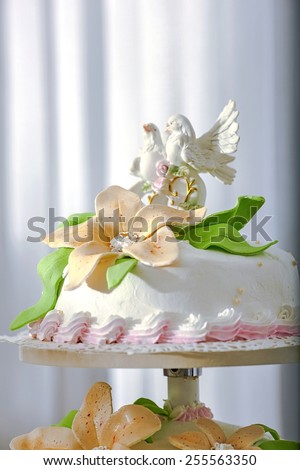 Wedding Cake/a wedding cake on a support
