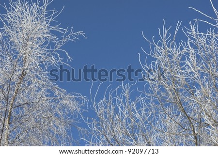 frost and snow