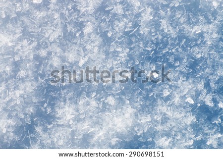 background created by a lot of crystal  snow flakes blue color cast