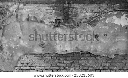 The original old brick wall with street art black and white