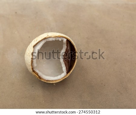 Young coconut meat