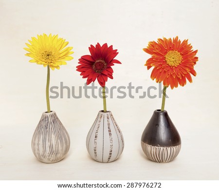 Colorful daisy flower in ceramic vase on wood background