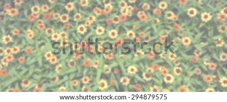 Blur Vintage tone Colorful flower garden background banner style