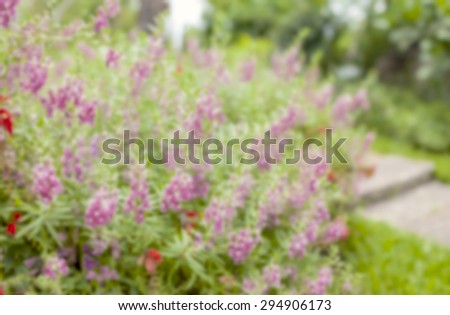 Vintage cool tone Blur background colorful flower background