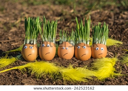 Unhappy egg family
