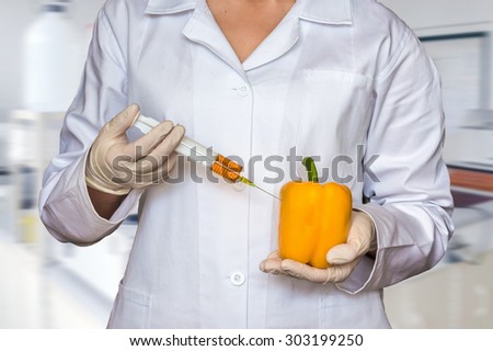 GMO experiment: Scientist injecting liquid from syringe into yellow pepper in agricultural research laboratory