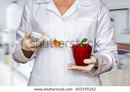 GMO experiment: Scientist injecting liquid from syringe into red pepper in agricultural research laboratory