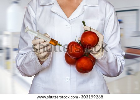 GMO experiment: Scientist injecting liquid from syringe into red tomatoes in agricultural research laboratory