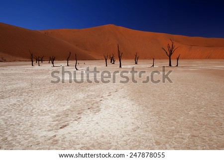 Sossusvlei - pan surrounded by high red dunes. Namib desert,  Namib-Naukluft National Park. Republic of Namibia. South West Africa