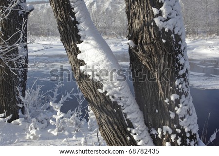winter scene in the northeast of china