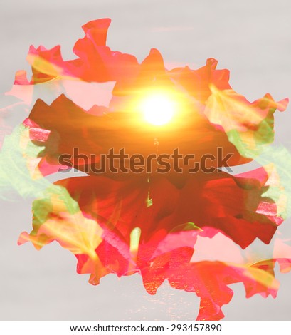 abstract double exposure of flower and the sunset on the sea, abstract concept
