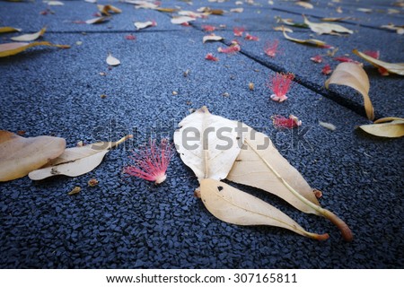 flower and leaf fall down on dark blue floor , vintage tone