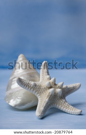 Sea Shells and Star Fish on Handpainted Blue Watercolor Background.  Professionally spotted and retouched.
