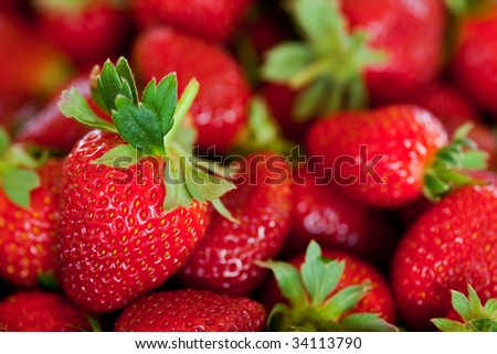 ripe red strawberries with stems and leaves