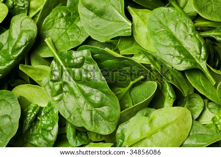 fresh spinach leaves or spinach salad background
