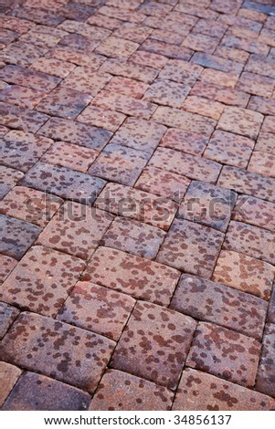 red pavers or bricks in the early stages of a summer rain
