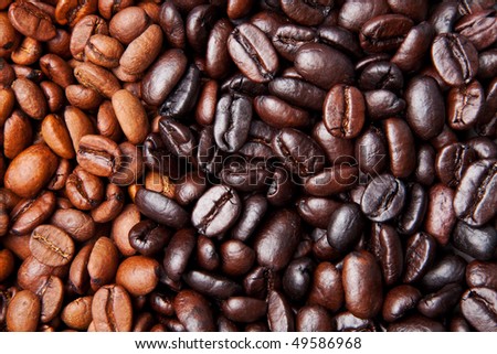 coffee bean background with light and dark roast