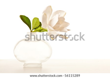 White Gardenia Blossom on Marble Table