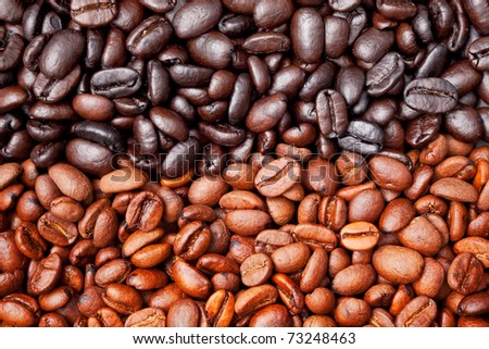 coffee bean background with light and dark roast