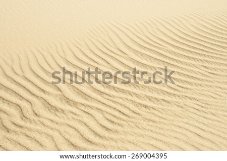 beach sand dunes near the sea. Ideal for golden sand backgrounds and textures