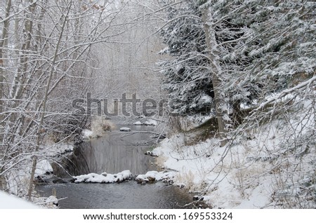 Winter Creek after a Fresh Snowfall