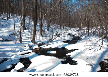 A Winter Creek