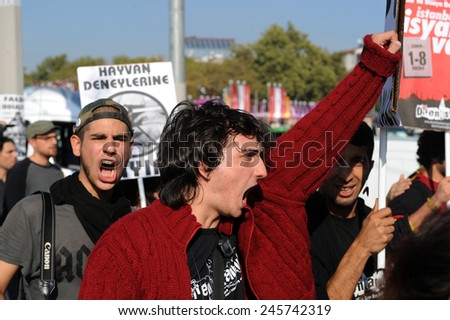 ISTANBUL, TURKEY- OCTOBER 05: Unidentified demonstrators in Turkey. protested the International Monetary Fund on October 05, 2009 in Istanbul,Turkey